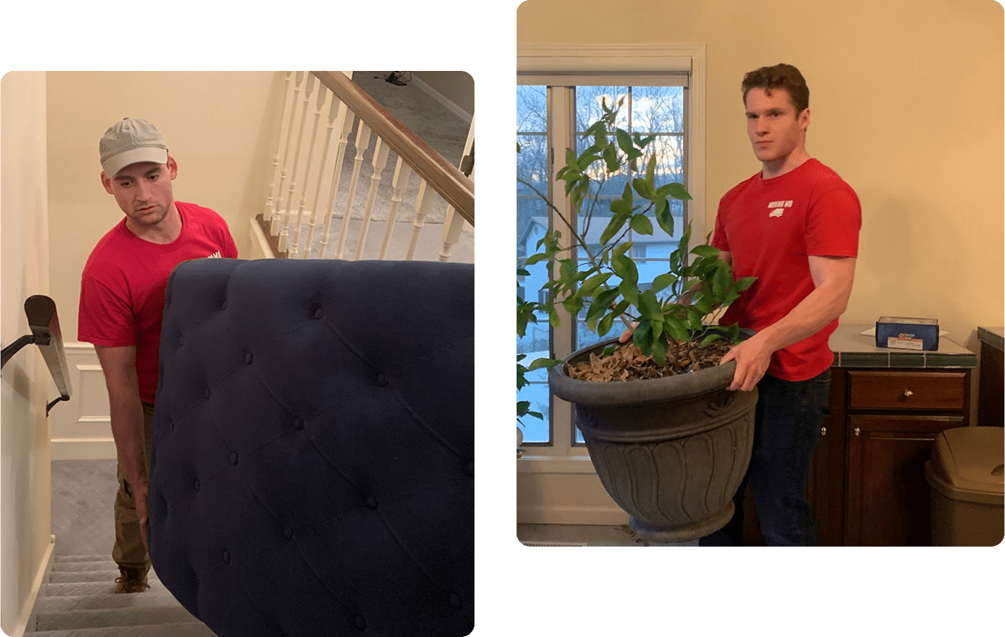 Two men moving furniture and a plant.